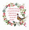 Christmas Cards - Behold I bring  (Pack of 10)  CMS